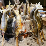 柳家 - 2014.10天然子持ち鮎