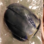 すし屋の野八 - 