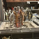 俺の割烹 炉ばた 恵比寿 - 