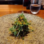 luogo - 大分 真鯵 からすみ ハーブ