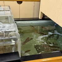 割烹 かじ 本店 - 