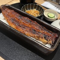 うなぎ四代目菊川 東京駅黒塀横丁店 - 