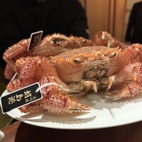 蒼 - 