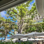 The veranda at The Beachhouse - 