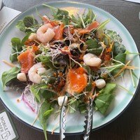 COLONIAL BEACH 横浜ハンマーヘッド - 