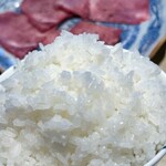 焼肉・ホルモン 踊ル - 