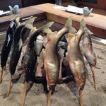 柳家 - 和良川の天然鮎