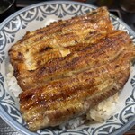 川勢 - 上うな丼・大盛り(アップ)