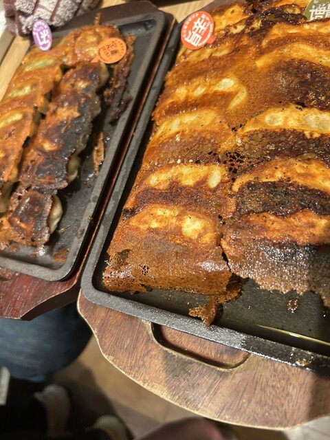 Nagoya Hanetsuki Gyoza Nikoko Gyoza Toyota Ten photo 3