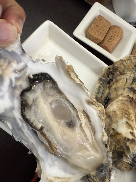 かき松島こうは 松島海岸駅前2号店 - 松島海岸（オイスターバー）の写真