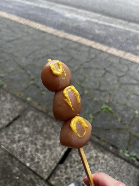 とがし - 藤島（その他）の写真