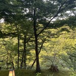 界 秋保 - 緑が映えます