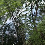 LE GRAND - 步行十多分鐘即可抵達的雲場池黃昏