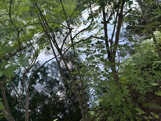 LE GRAND - Sunset at Kumoba Pond, just over a 10-minute walk away