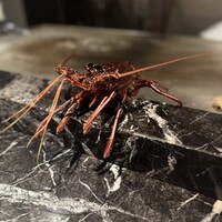 TEPPANYAKI 10 STEAK & LOBSTER - 