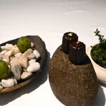 ラ・ヴァガボンド - 