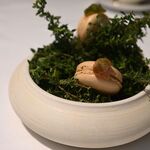 ラ・ヴァガボンド - 