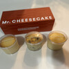 Mr. CHEESECAKE グランスタ東京店