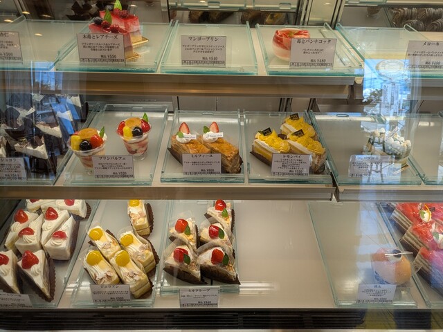 Aster Nara Jo Ten photo 5