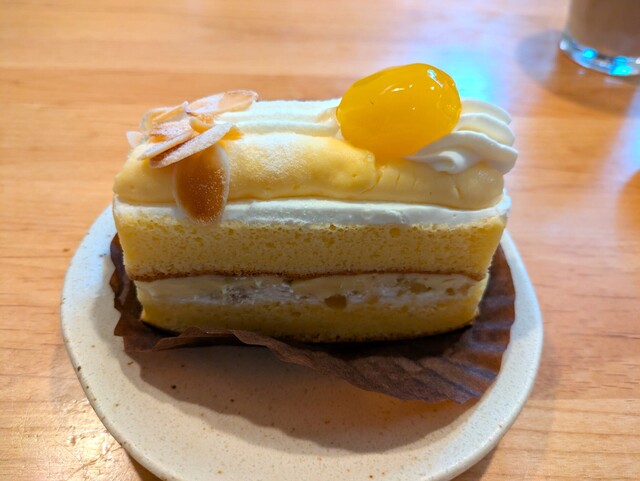 Aster Nara Jo Ten photo 3