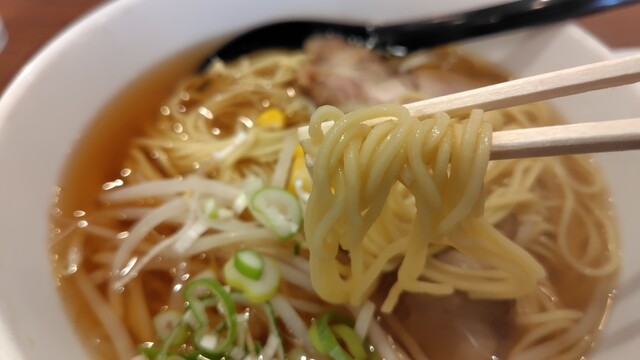 Chinese Kameikaku photo 3