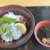 しらす食堂