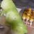 東山だんご - 料理写真: