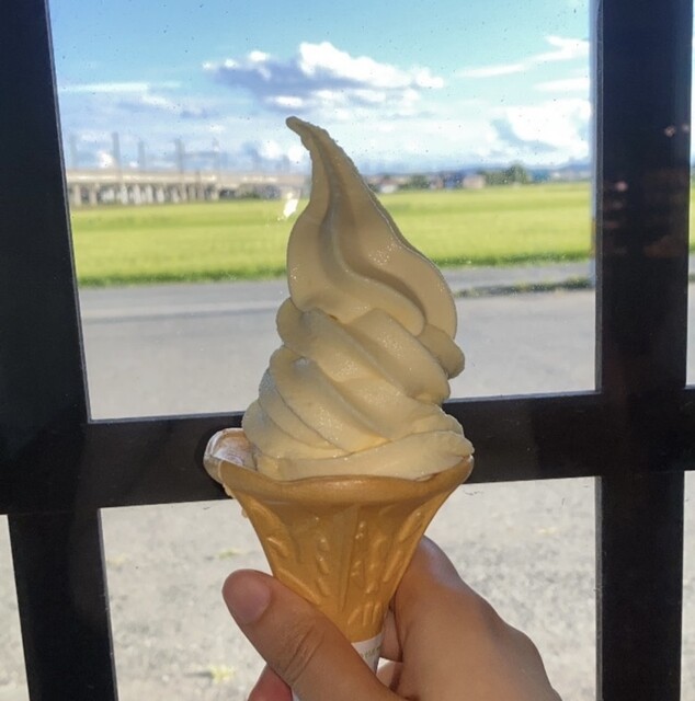 ソフトハウス - 水沢江刺（ジェラート・アイスクリーム）の写真