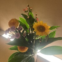 北新地しゃぶしゃぶすき焼き きらく - 