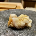 鮨 鈴木 - イシガキガイ(宮城)