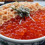 ウトロ漁協婦人部食堂 - 鮭いくら親子丼