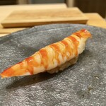 鮨 鈴木 - 車海老(天草)