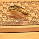 히로시마 스시 긴자 시바하마