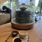 スターバックス リザーブ ロースタリー トウキョウ - 