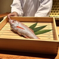 のどぐろ専門 銀座中俣 極 - 