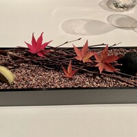 Plaiga TOKYO - 