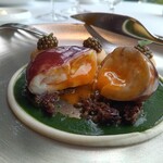 フィリップ・ミル 東京 - スペシャリテ 赤ワインを纏った半熟卵　ポム・ﾄﾞフィーヌとオシェトラキャビア