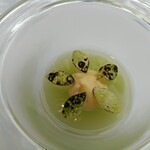 フィリップ・ミル 東京 - きゅうりのゼリーと柑橘とショウガのクリーム