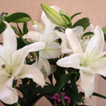 お宿　木の葉 - ☆2014初秋☆素敵な花