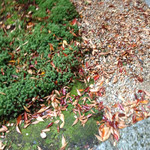 お宿　木の葉 - ☆2014初秋☆