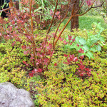 お宿　木の葉 - ☆2014初秋☆