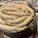 駒形どぜう 本店 - 