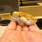 鮨 木場谷 - のどぐろ