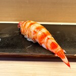 鮨 木場谷 - 車海老