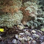 音羽山荘 梅屋敷 - 