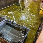釣船茶屋 ざうお - 