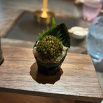 KEI Collection PARIS - 