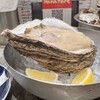 魚とワインはなたれThe Fishand Oysters 田町店