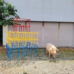 hectopascal - いなげやを過ぎたら左折（ブタを探す余裕はない）