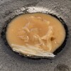chinois 蓮歩 - 気仙沼産フカヒレ 上海煮込み